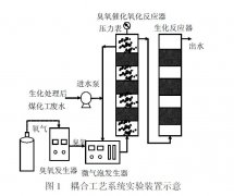 臭氧高級催化氧化+微氣泡降解有毒有害污染物研究