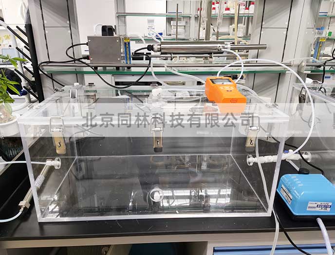 大鼠小鼠動物臭氧染毒實驗方案 大鼠小鼠動物臭氧染毒實驗方案